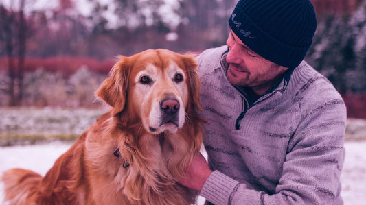 Winter Dog Care Tips: How to Keep Your Pup Warm and Healthy This Season