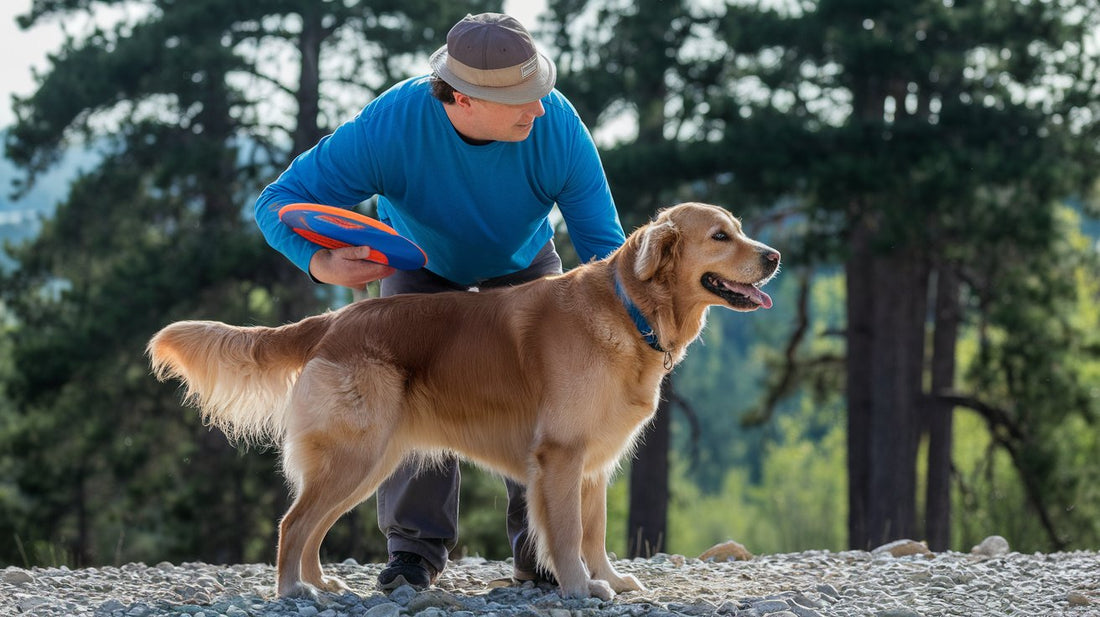 Top 10 Must-Have Dog Products Every American Pet Parent Needs