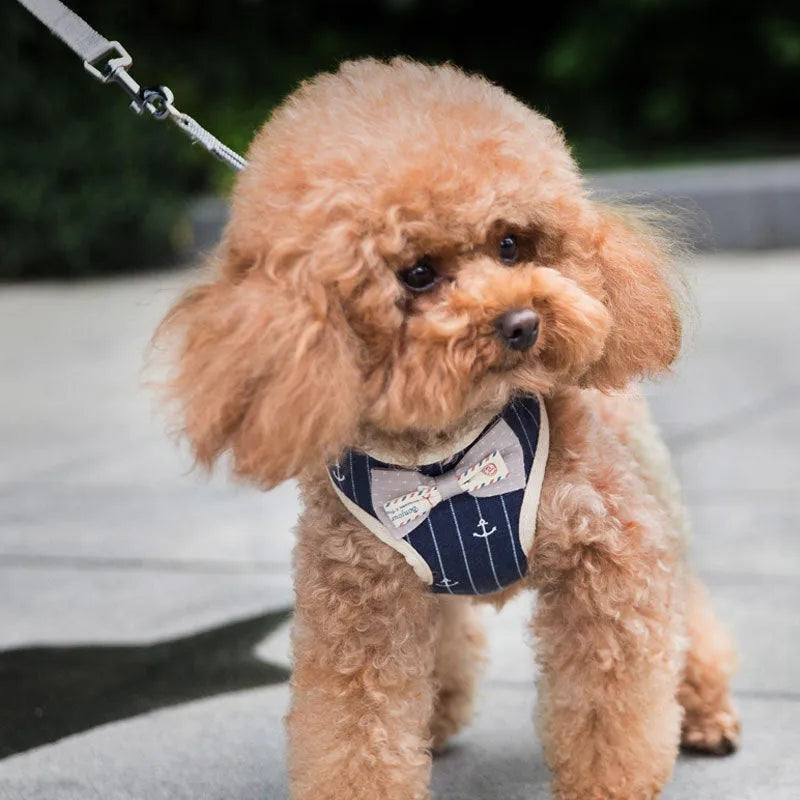 Cloth Small Dog & Cat Harness Set with Bow - Perfect Pet Fashion Statement