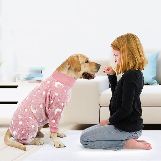 Cozy Winter Pajamas for Dogs