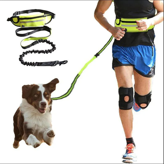 Hands-Free Dog Leash for Active Owners: Explore Freely