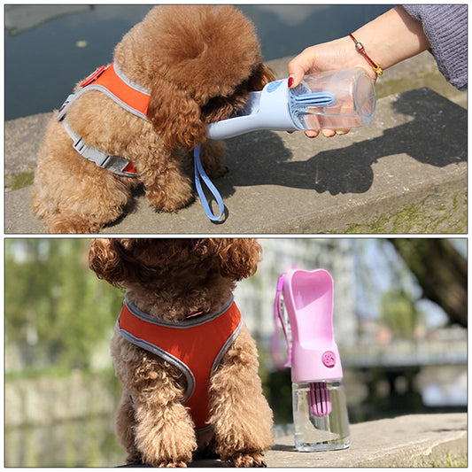 Portable pet water bottle for dogs and cats.